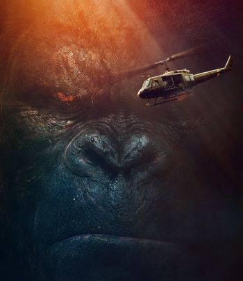 kong t