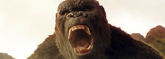 kong t