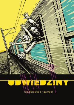 odwiedziny cover