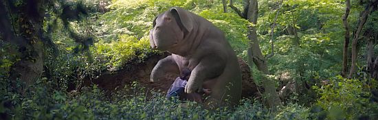 okja t