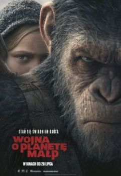 wojna cover