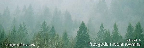 bieszczady t