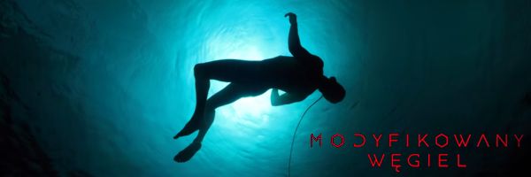 modyfikowanywegiel t