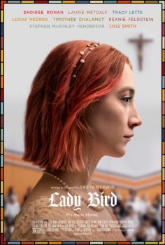 ladybird cover
