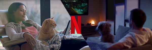 netflix t