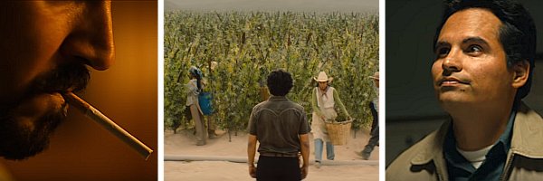 narcos t